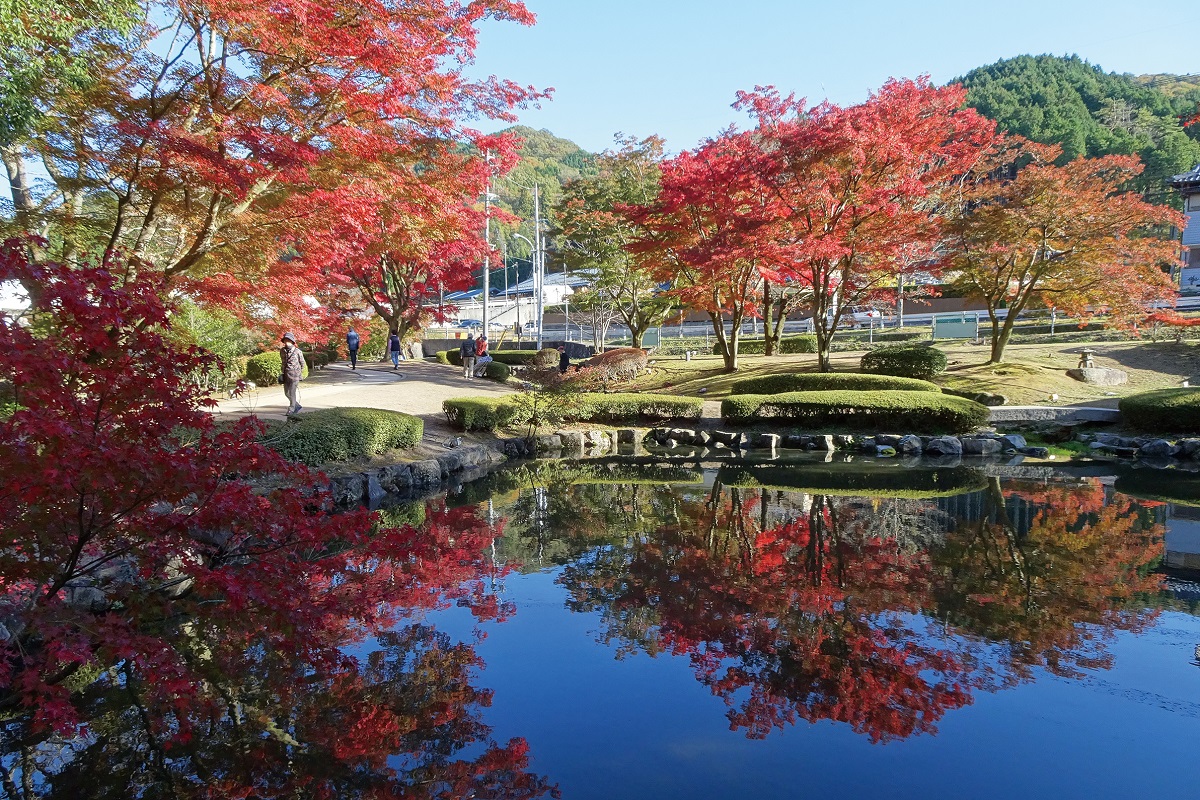 曽木公園